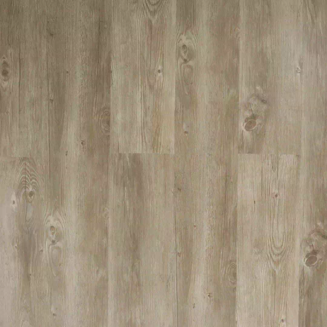 Richmond SPC Eco - Cappuccino