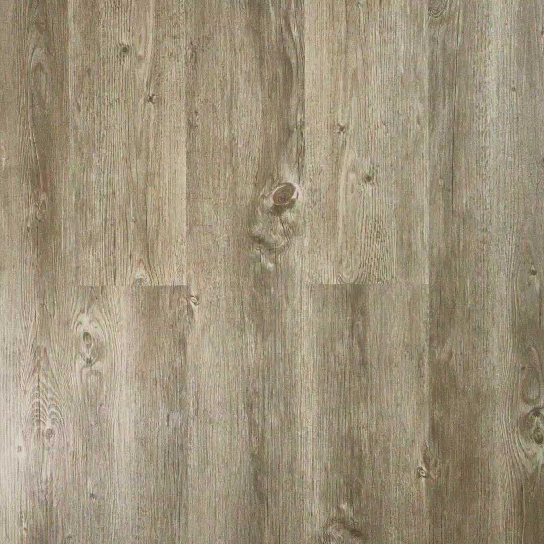 Polar SPC - Antique