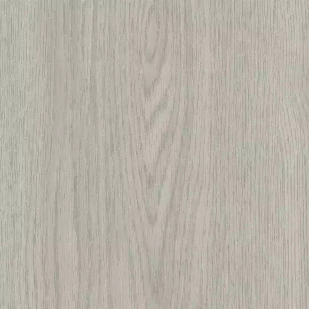 Polar SPC - White Wash