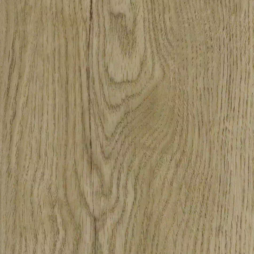 Polar SPC - Chestnut