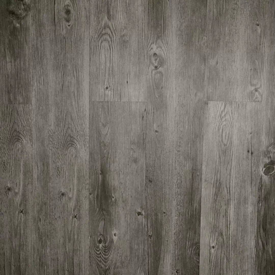 Polar LVT - Prairie