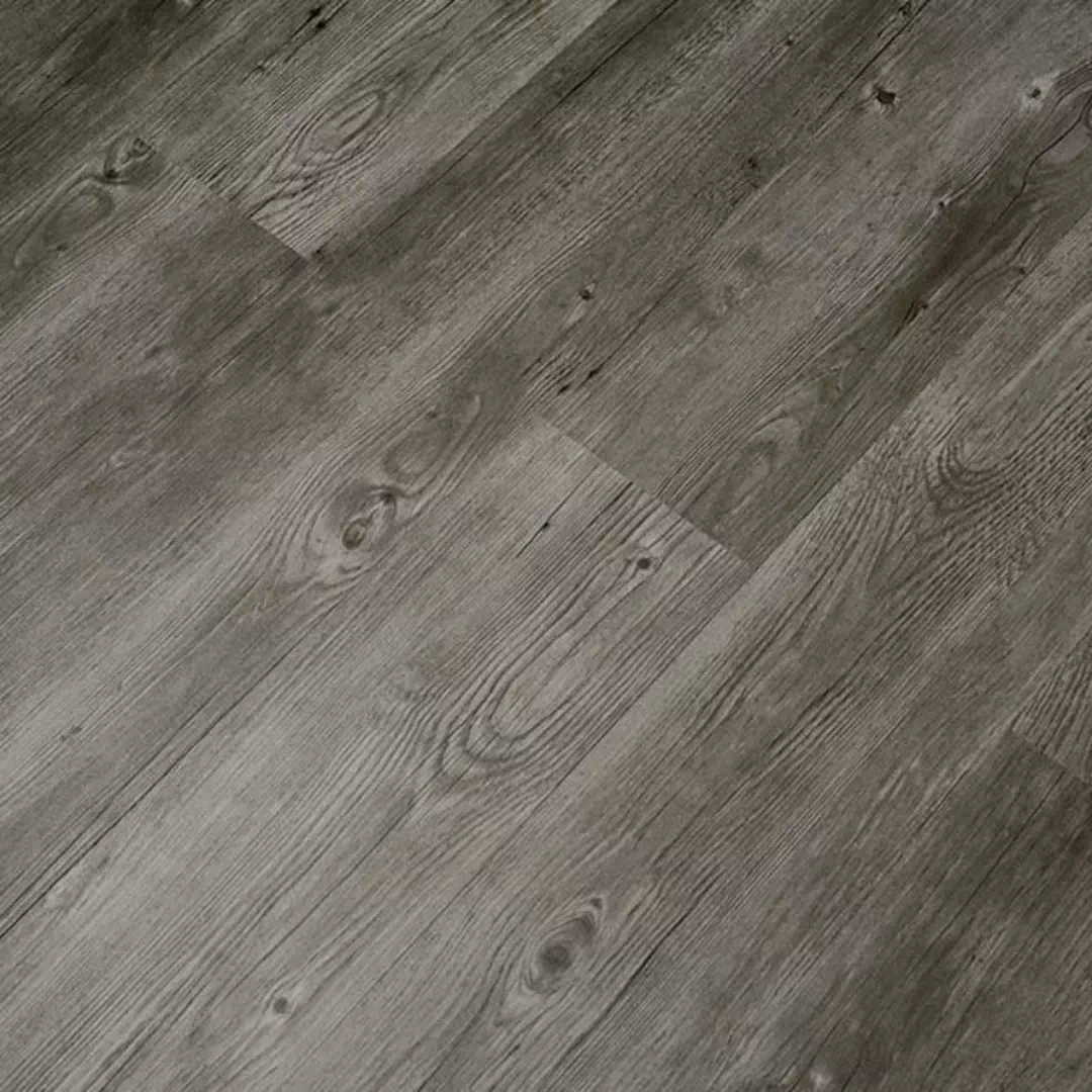 Polar LVT - Prairie