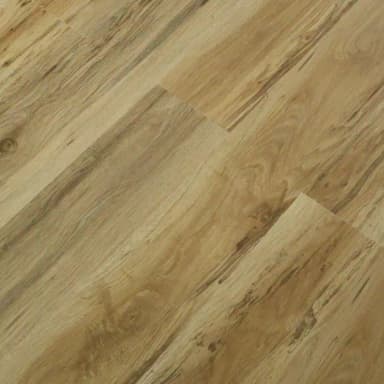 Polar SPC Eco - Oak History